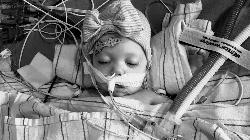 Hollis’s Open-Heart Surgery (Part&nbsp;2)